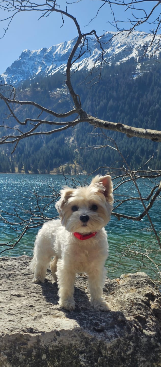 Customer photo review of Dosierlöffel