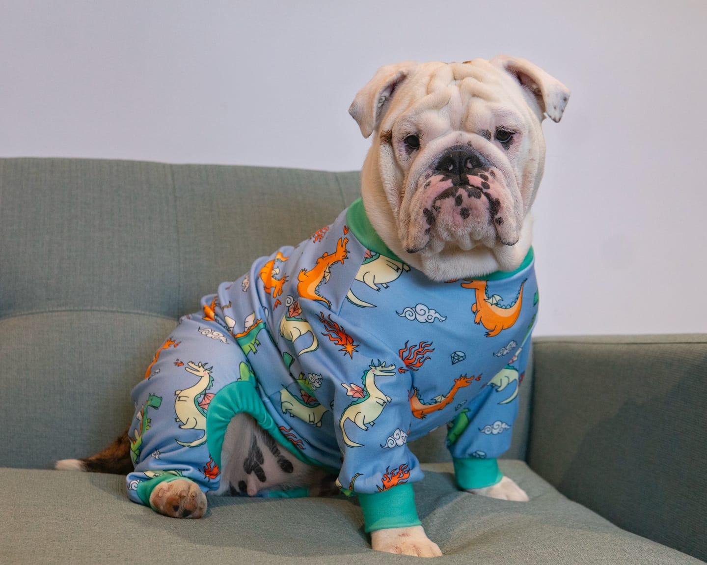 Customer photo review of Dog Pajama - Dragons