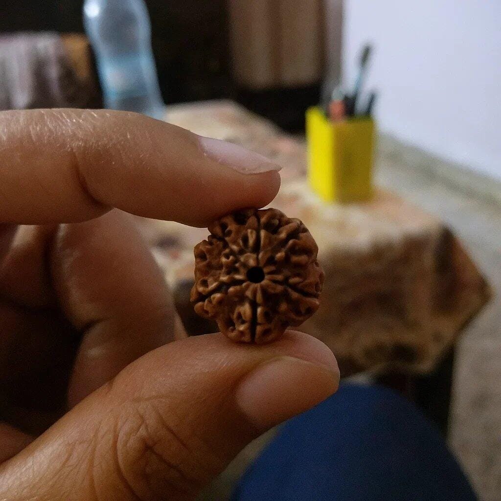 Customer photo review of 5 Mukhi Rudraksha – Natural Five Face Rudraksha Bead for Health, Peace & Spiritual Growth by Vastu Mandir