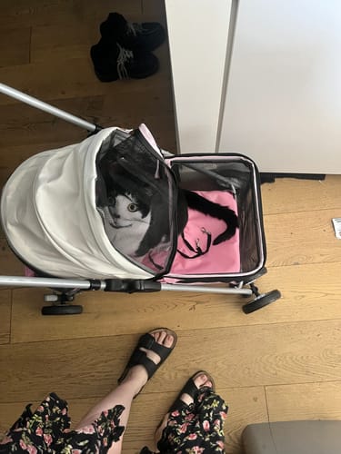 Customer photo review of Compact & Comfortable Pet Stroller
