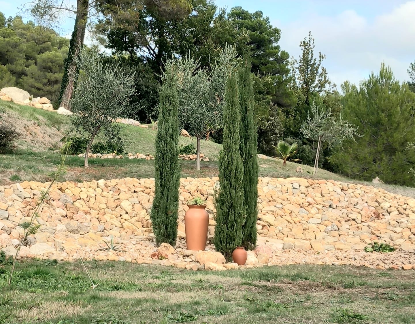Customer photo review of YourCasa Regentonne 120-230 Liter [DropCatcher] mit Filterkorb & Wasserhahn