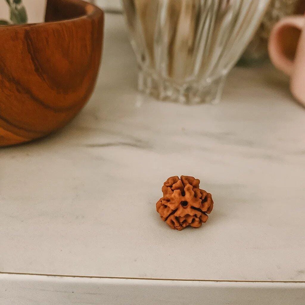 Customer photo review of 3 Mukhi Rudraksha – Certified Original Natural Three Face Rudraksha Bead for Confidence, Energy & Healing by Vastu Mandir