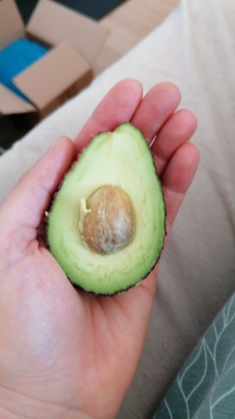 Customer photo review of Mini Mango & Avocado Rettungsaktion %