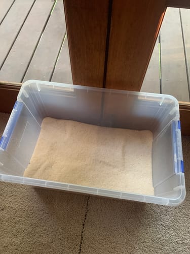 Customer photo review of 3 Month Supply - 1 Cat