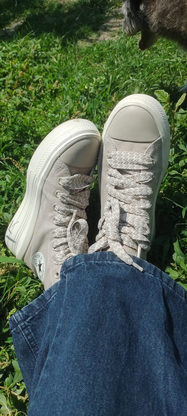 Customer photo review of Zapatillas Converse Chuck Taylor Move Hi Platform Beige