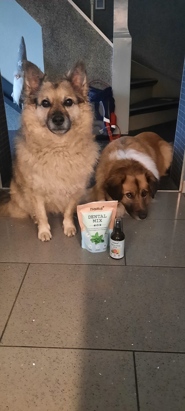 Customer photo review of Dentalmix für Hunde zur Zahnpflege und für frischen Atem