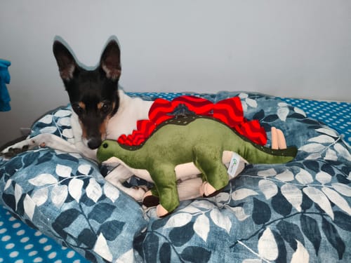 Customer photo review of Stegosaurus Dinosaur Plush Toy – Soft Jurassic Stuffed Animal