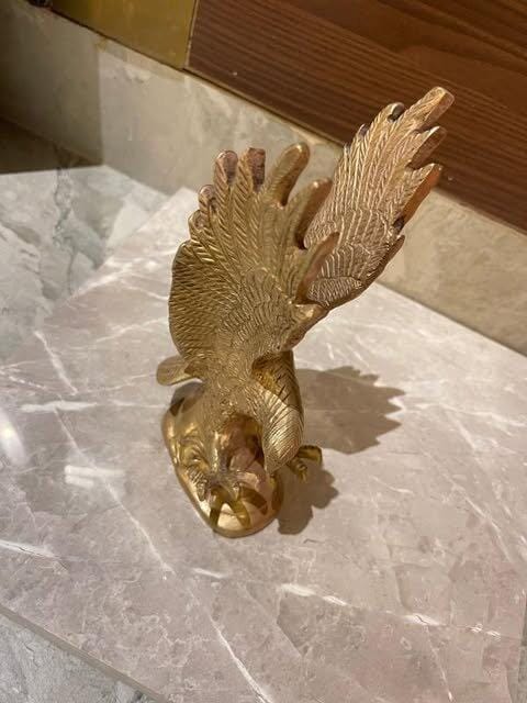 Customer photo review of Eagle 100% Pure Brass Statue Idol Decorative Showpiece for Home, Office and Gifting by Vastu Mandir
