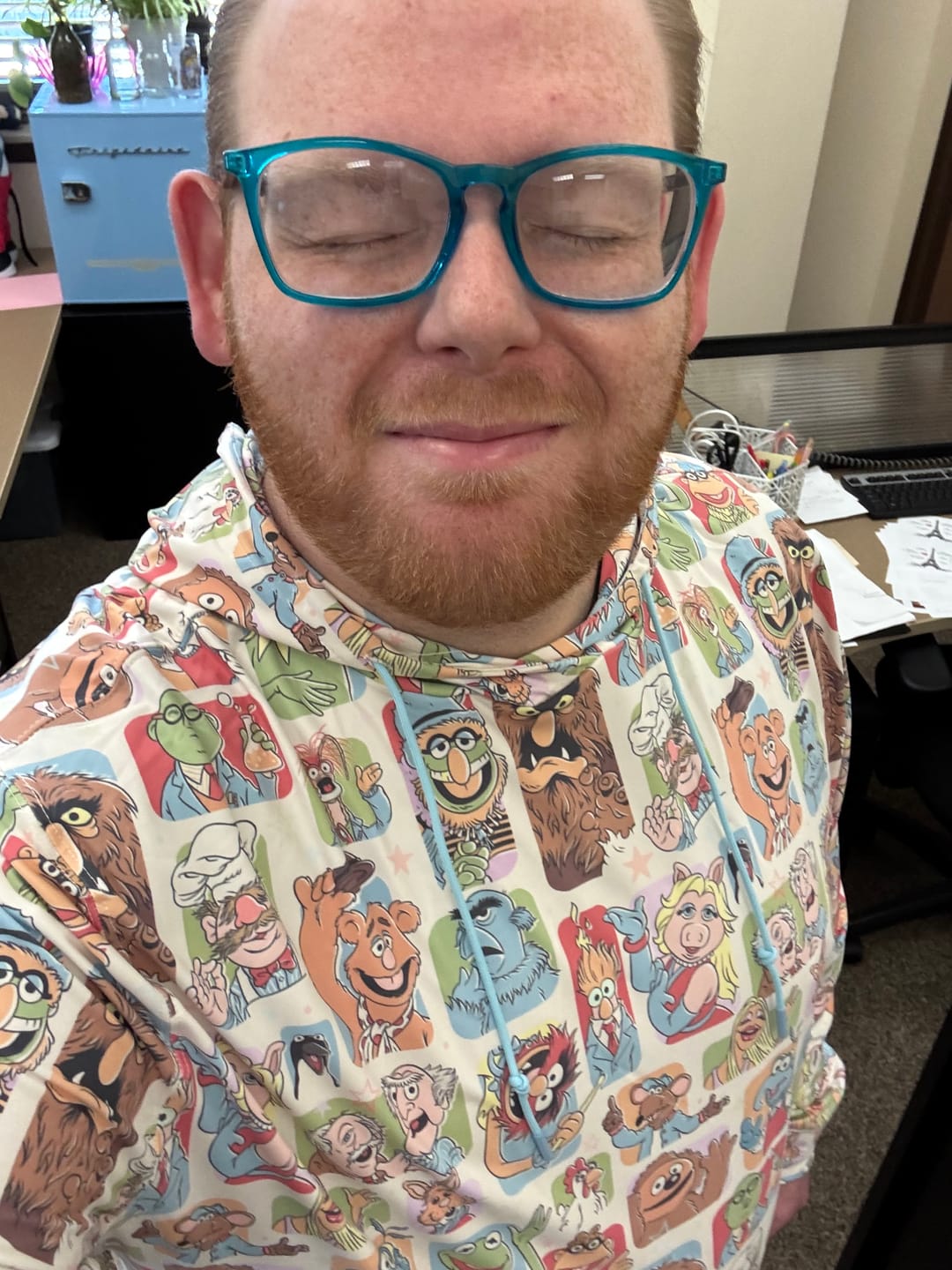 Customer photo review of Disney's The Muppets "Time to Meet the Muppets" – Performance Hoodie