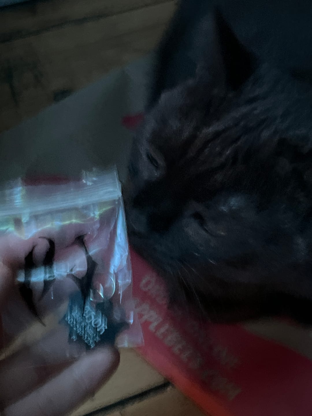 Customer photo review of PET TAG