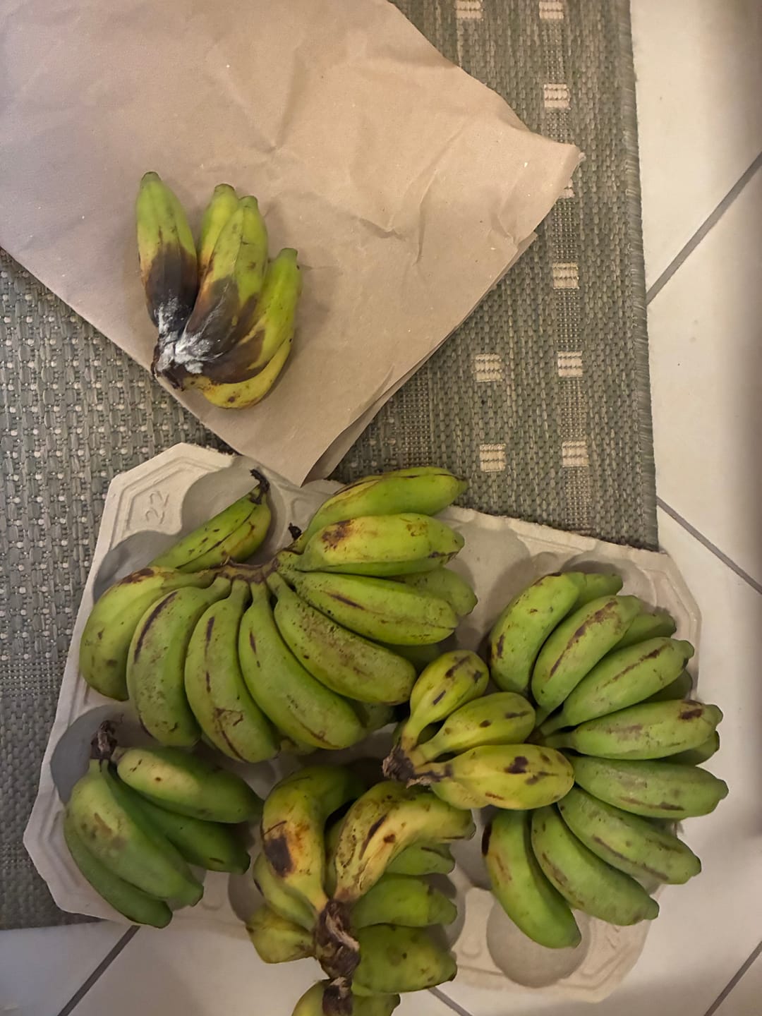 Customer photo review of Mango Mix Bio von Julian 3kg