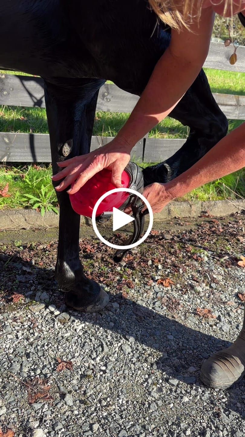 Customer video review of Renegade® Viper Vivid™ Hoof Boot - Pink Passion