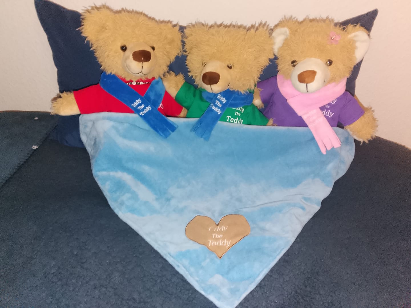Customer photo review of Eddy The Teddy Snuggle Blanket