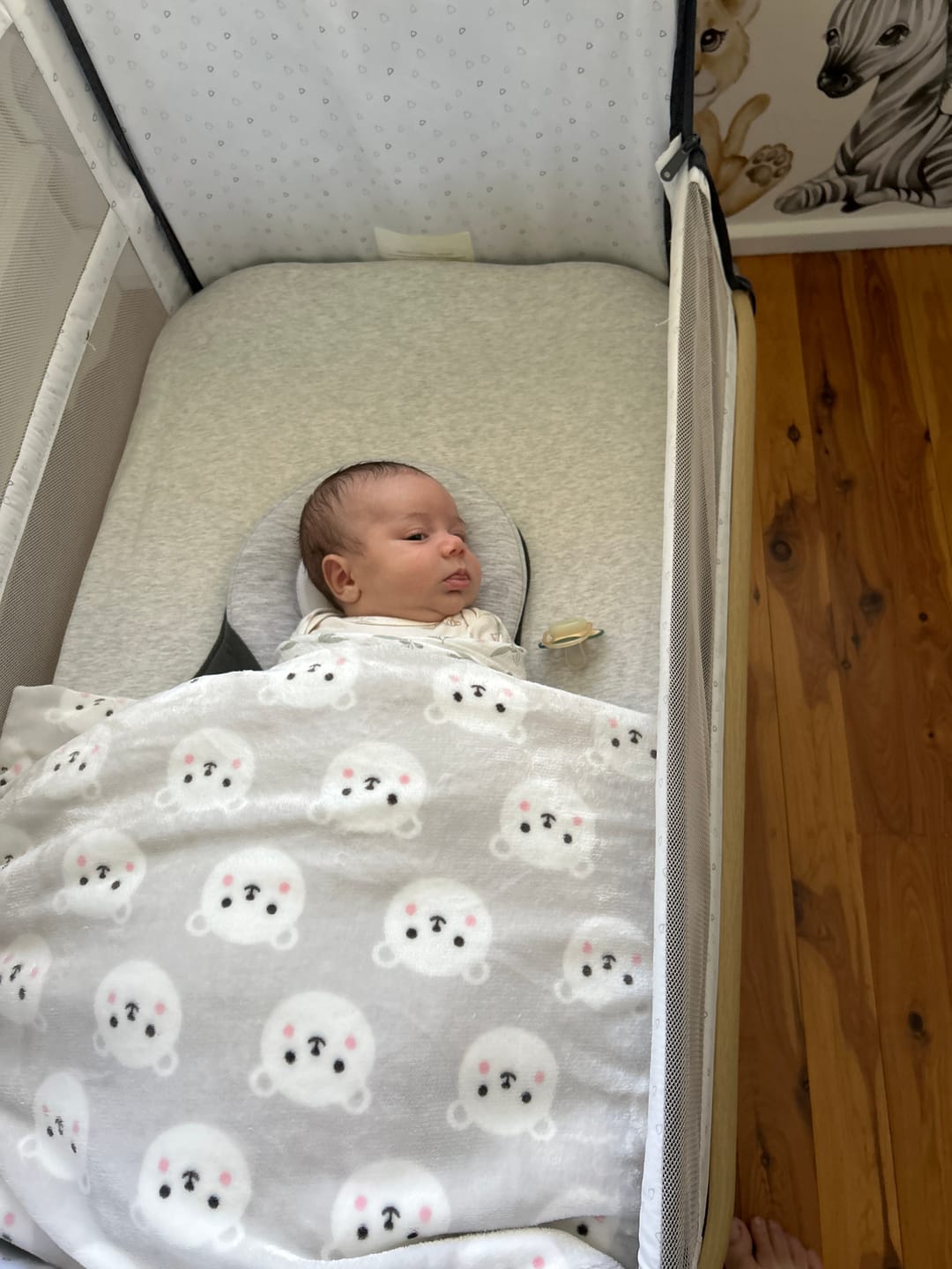 Customer photo review of Baby Bed Pal
