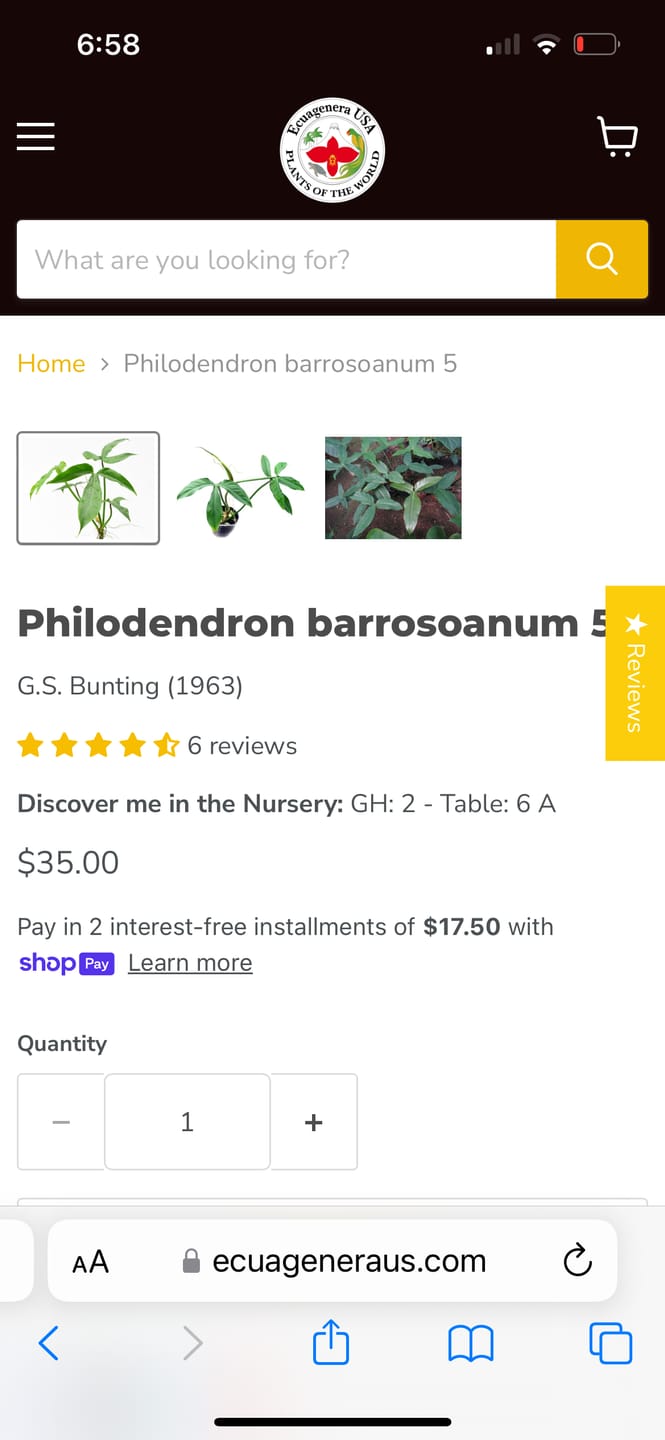 Customer photo review of Philodendron barrosoanum