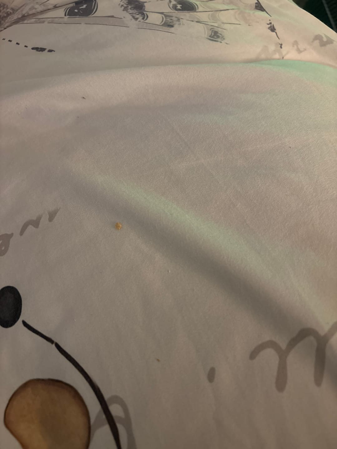 Customer photo review of Muscle Mat Luxury Mattress Topper - 4 Inches Thick