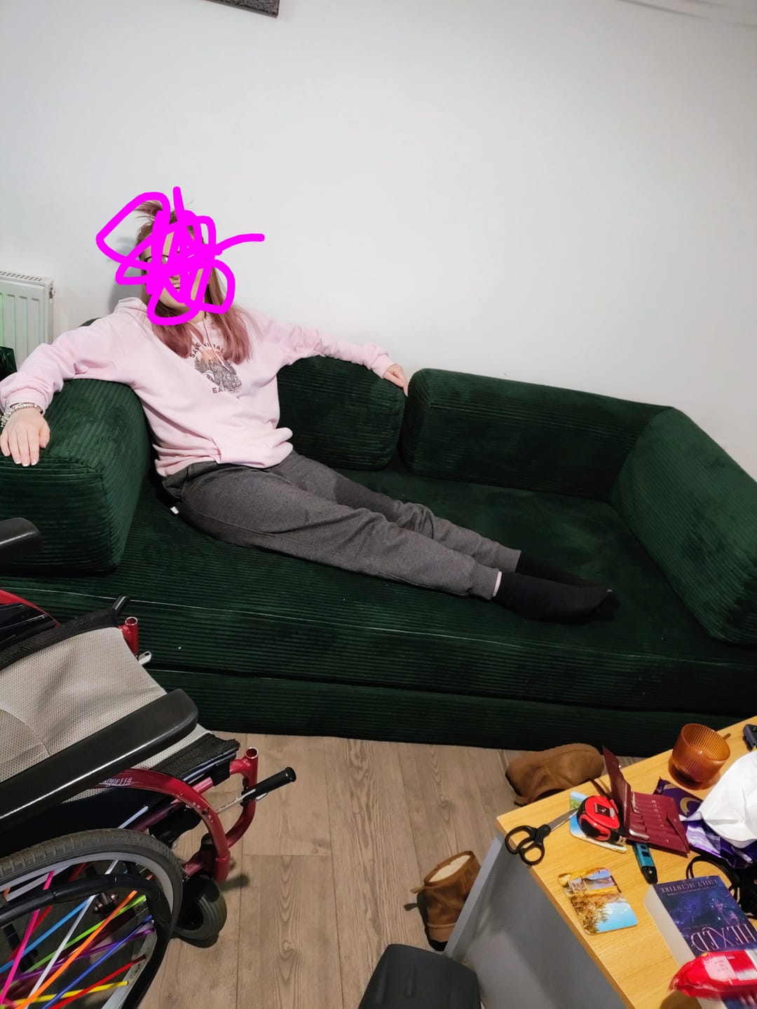 Customer photo review of VacuumLuxe Compression Sofa