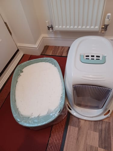 Customer photo review of 1 Month Supply – 1 Cat