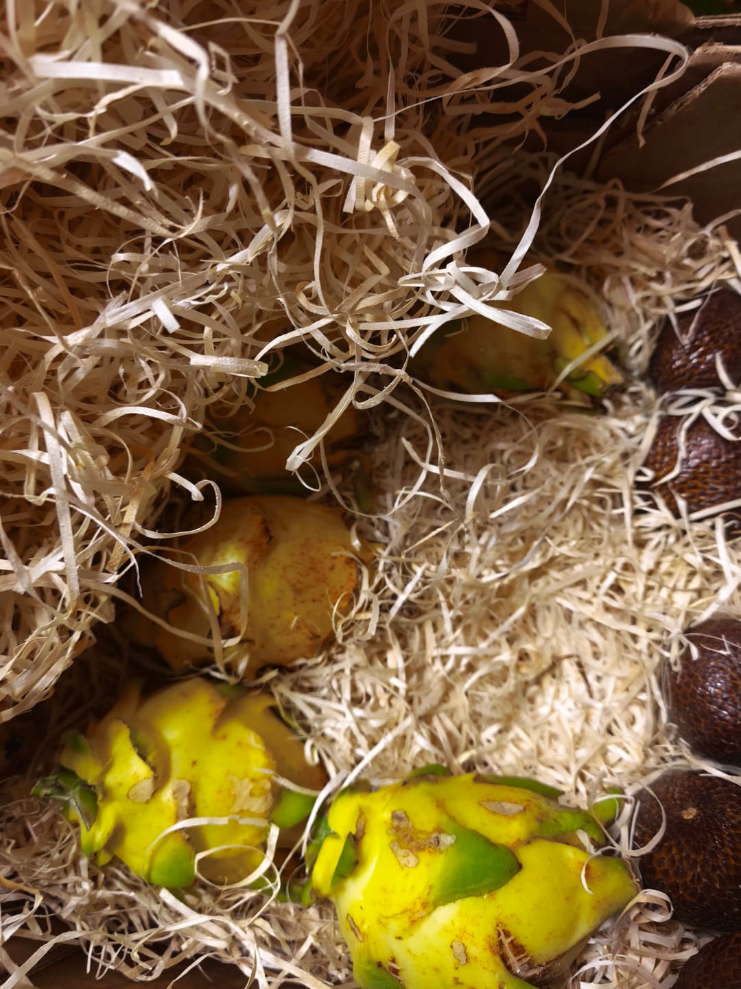 Customer photo review of Drachenfrucht gelb Bio von Salvador Retterbox