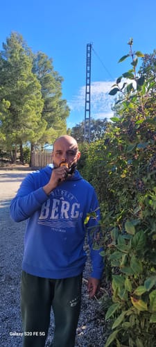 Customer photo review of WASPE FIHP 60000 (1 unidad)