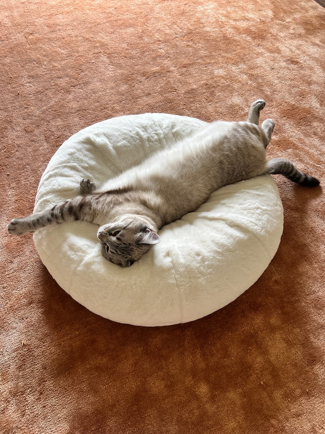 Customer photo review of Sourdough Pudding Bed