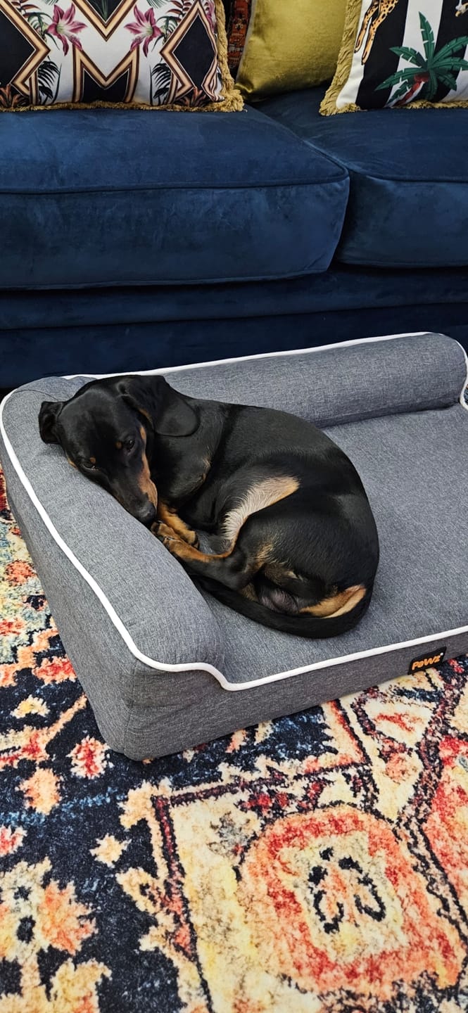 Customer photo review of Orthopedic Pet Bed Memory Foam With Cooling Gel