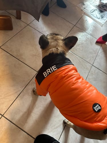 Customer photo review of Piumino "The Dog Face" Arancione Personalizzabile con nome