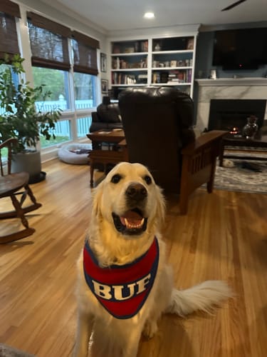 Customer photo review of Buffalo Knit Bandana