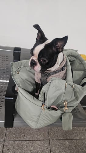 Customer photo review of Matcha┃The Puffer Carrier