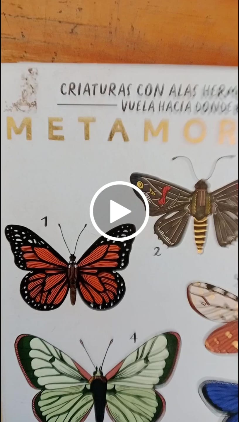 Customer video review of YUYA Set de sombras 18 colores - "METAMORFOSIS"