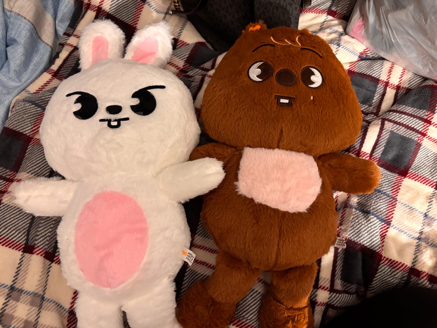 Customer photo review of SKZ Teddybear Plush