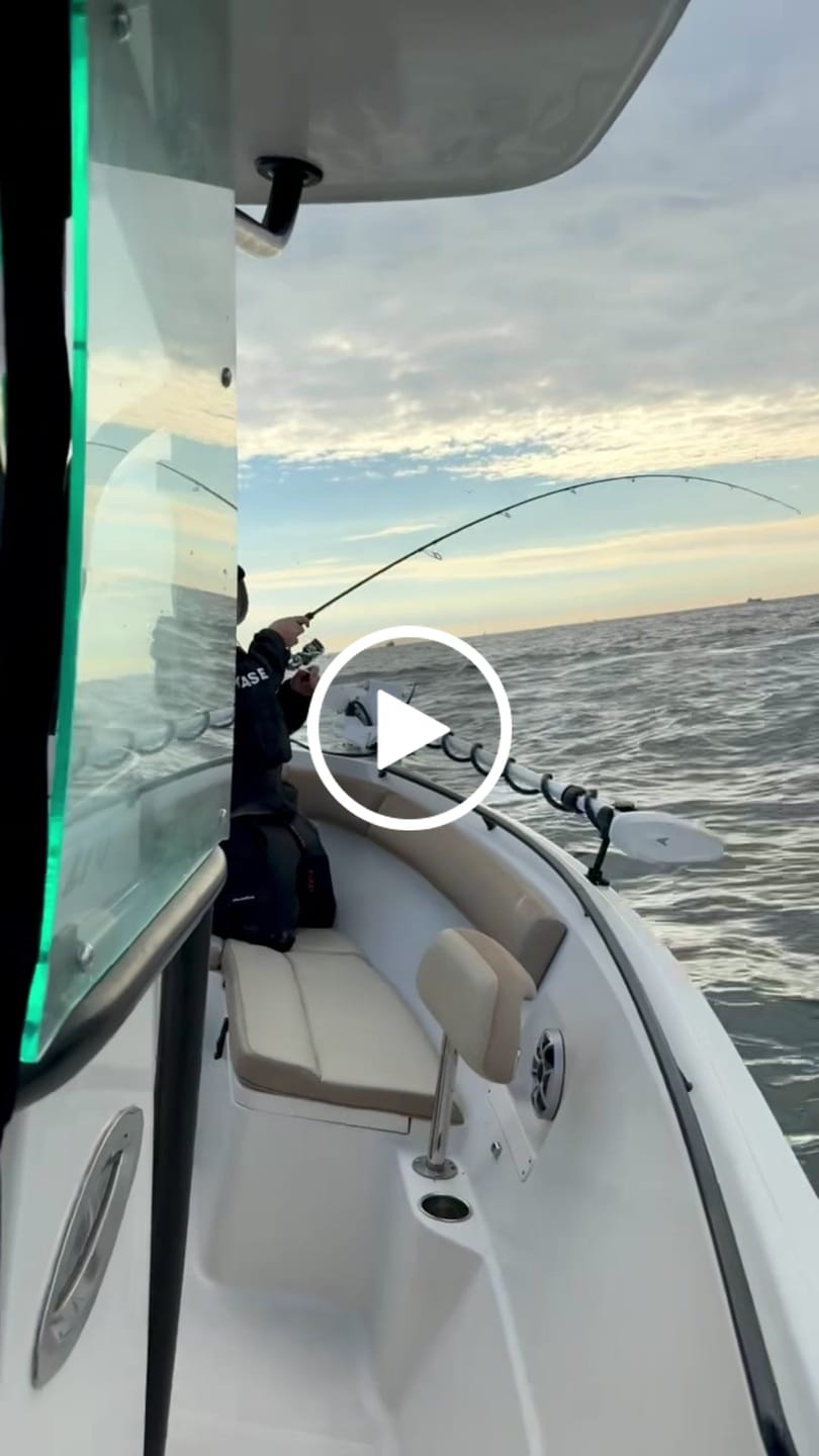 Customer video review of Shield II Spinning Reel