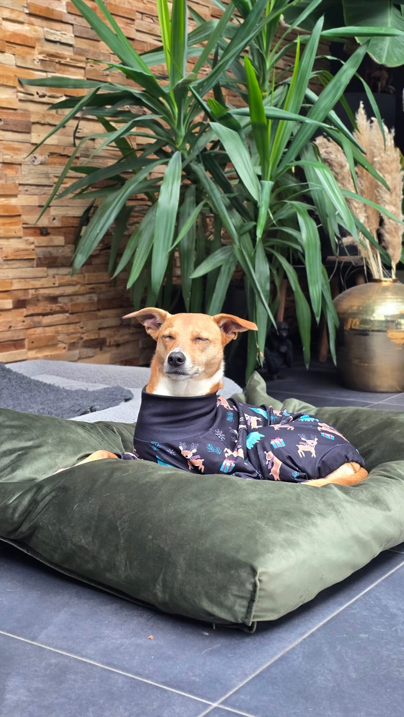 Customer photo review of Stretchy Fleece Dog Leg Warmer Sleeves - Grey
