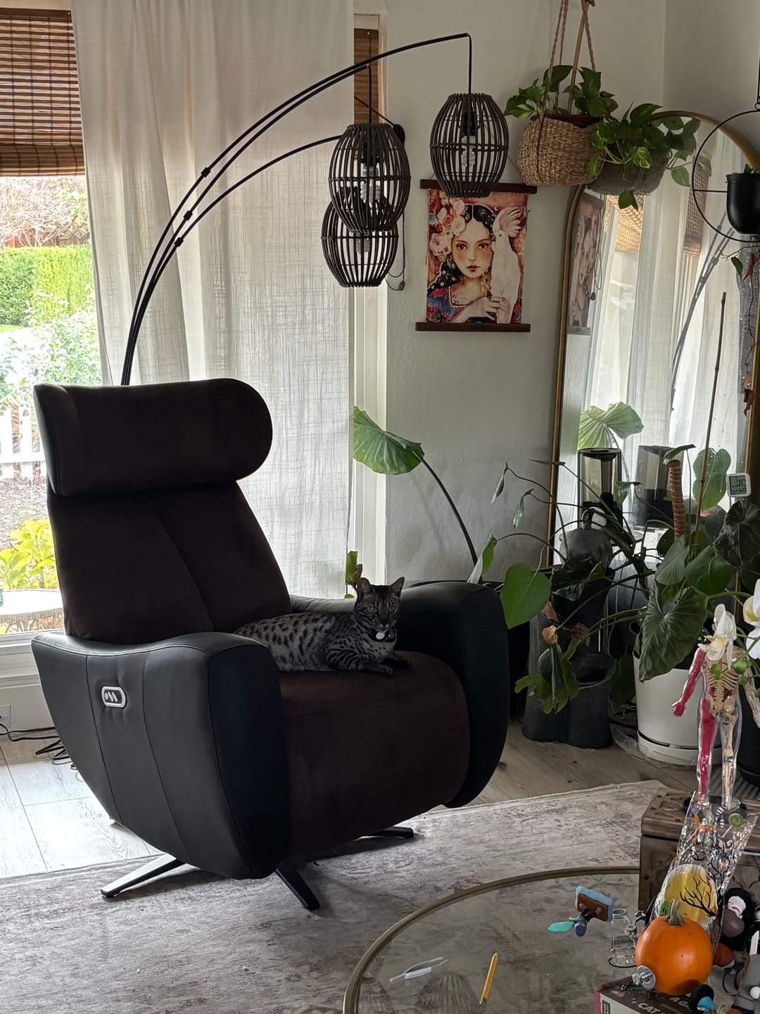 Customer photo review of SwanSing Single-Seater Power Zero Gravity Chair Recliner