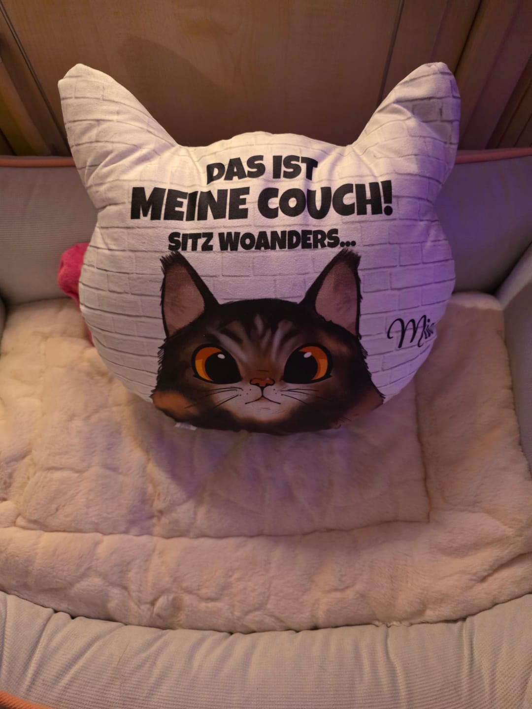 Customer photo review of Unsere Couch - Individuelles Formkissen