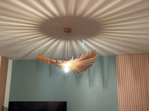 Customer photo review of Ampoule LED 12w