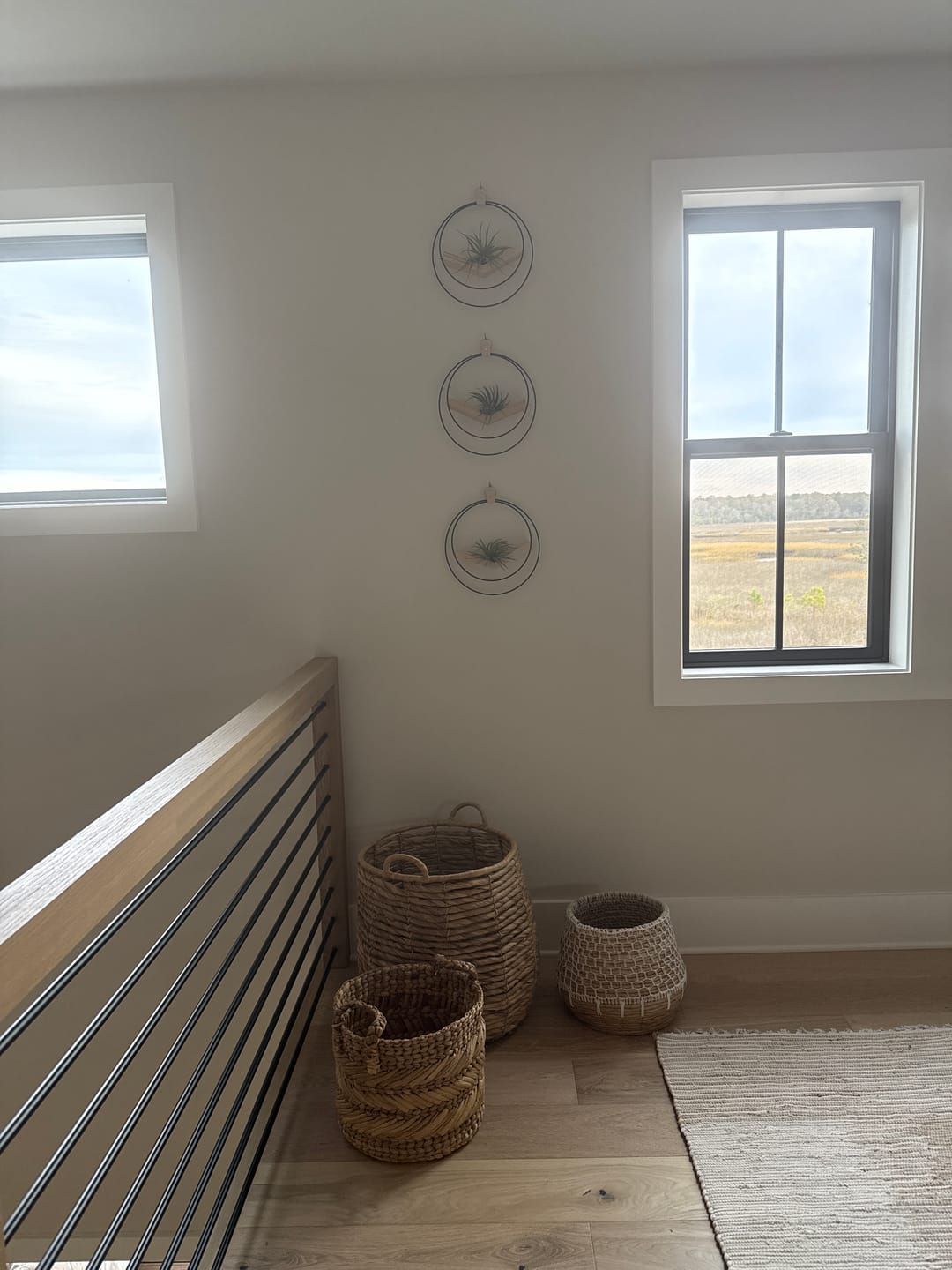 Customer photo review of Air Plant V-Hanger Trio