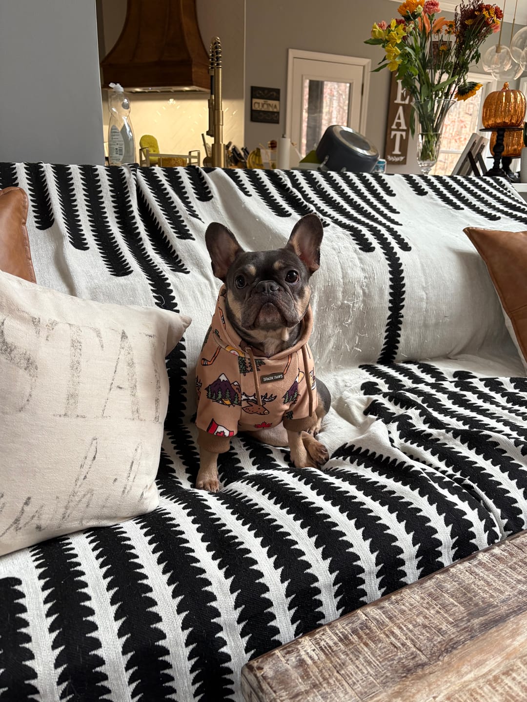 Customer photo review of Canada Dog Hoodie