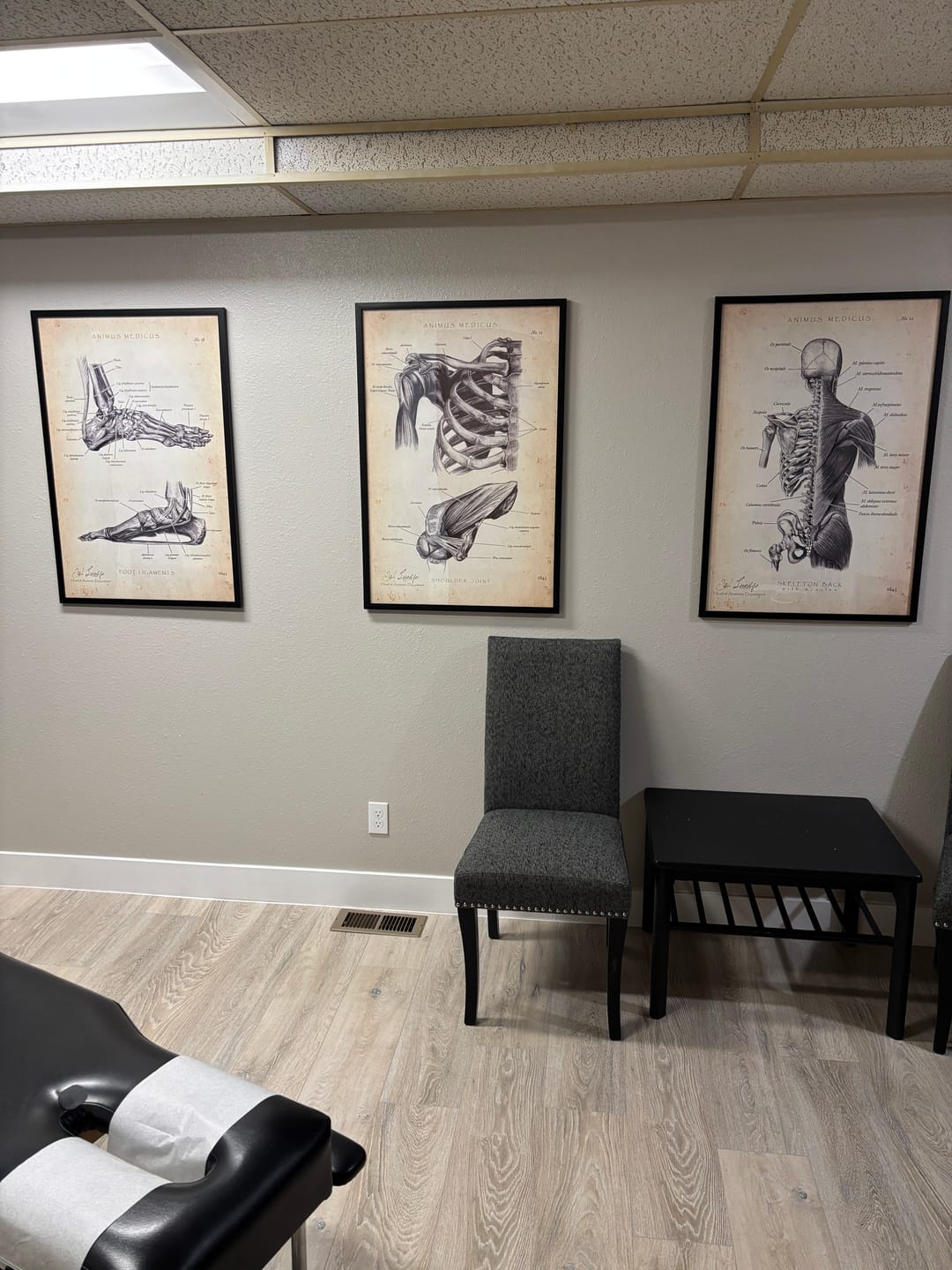 Customer photo review of Back Anatomy | Bones and Muscles