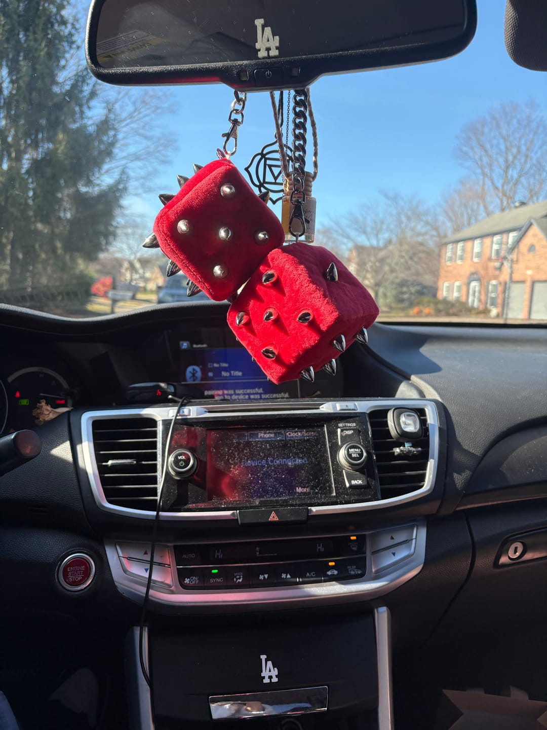 Customer photo review of SPIKE DICE PLUSHIE