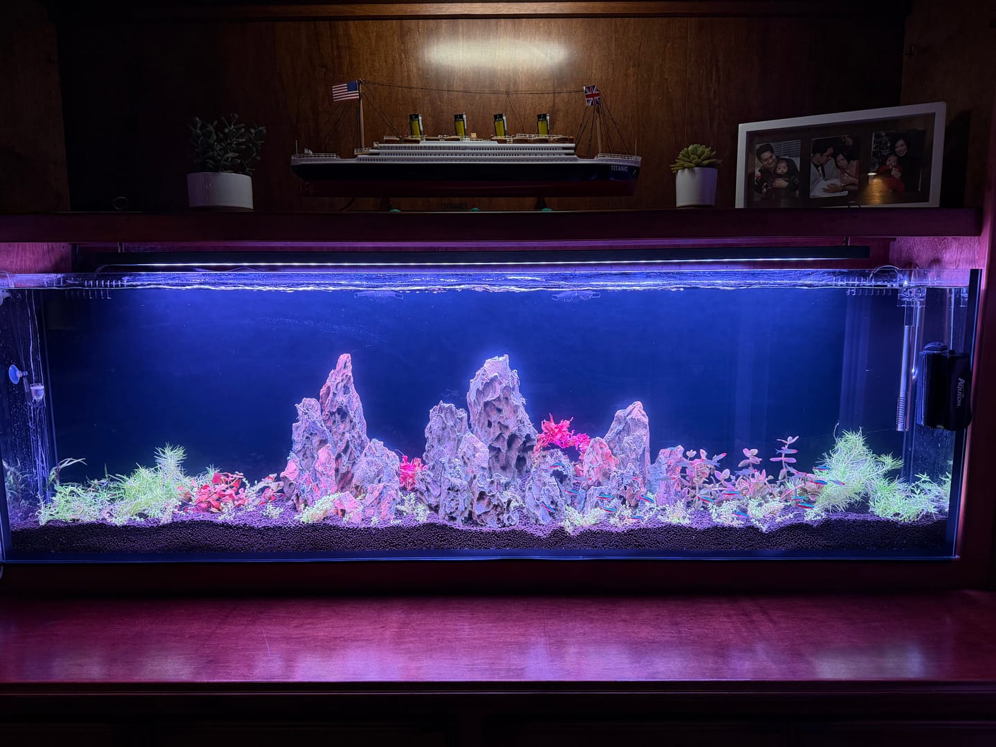 Customer photo review of Chihiros WRGB II Pro LED Light