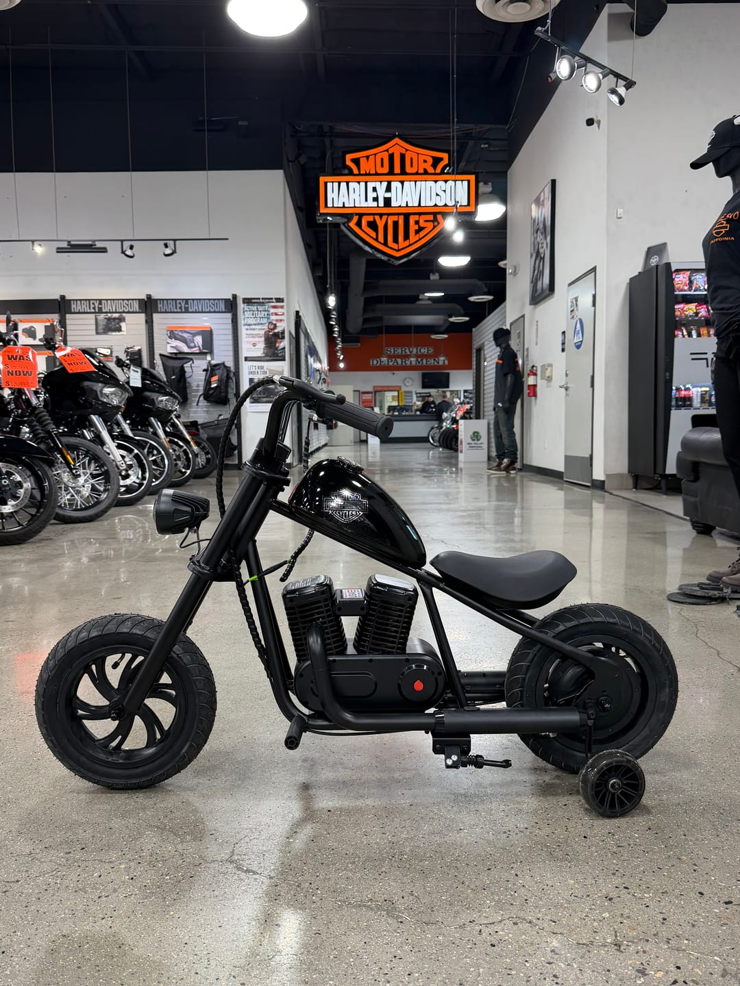 Customer photo review of Cruiser 12
