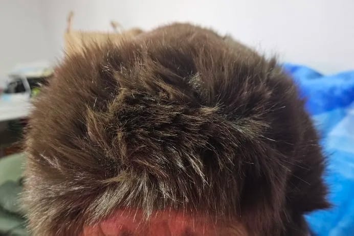 Customer photo review of Tracy Faux Fur Hat