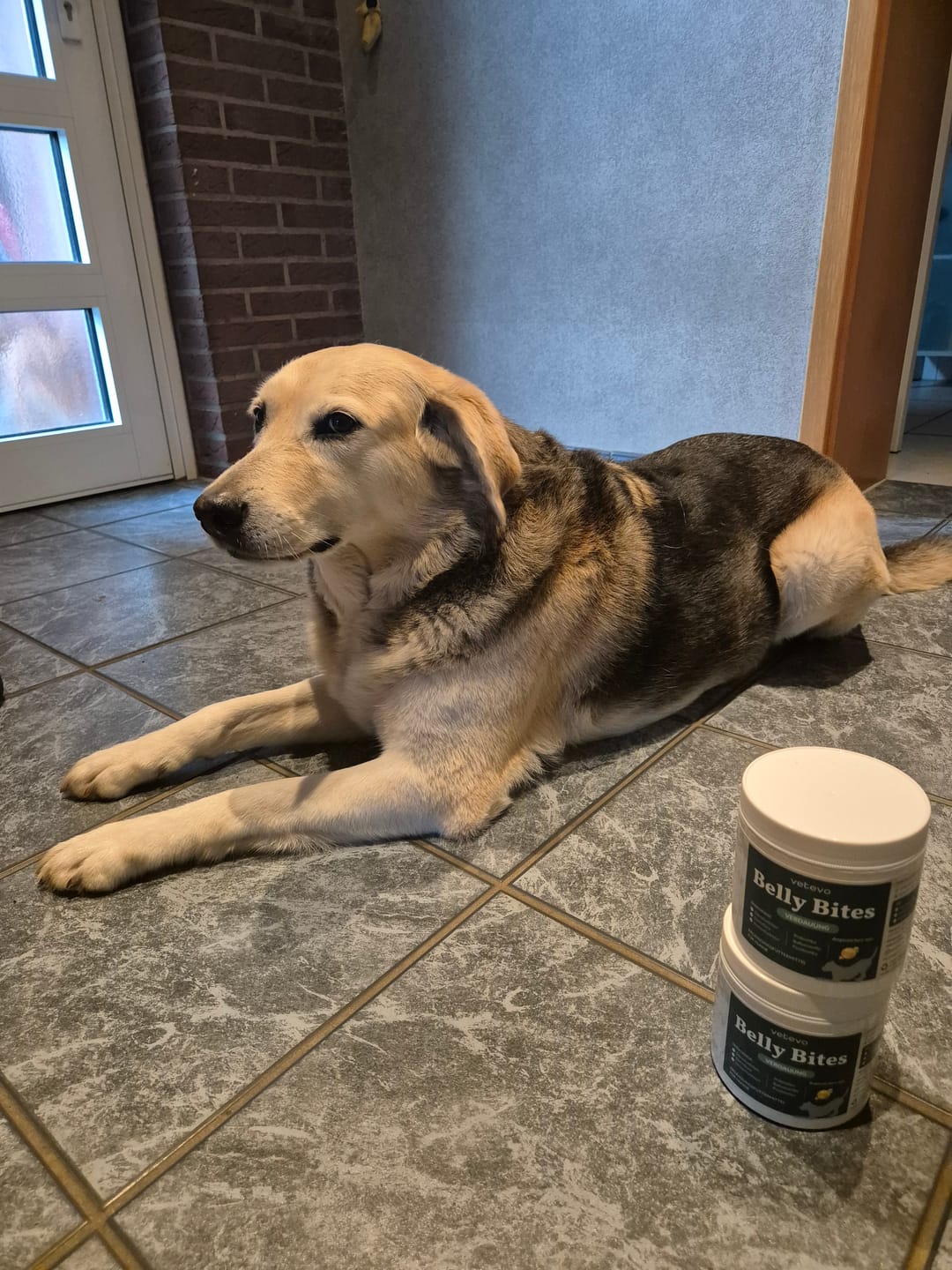 Customer photo review of Belly Bites 2.0
