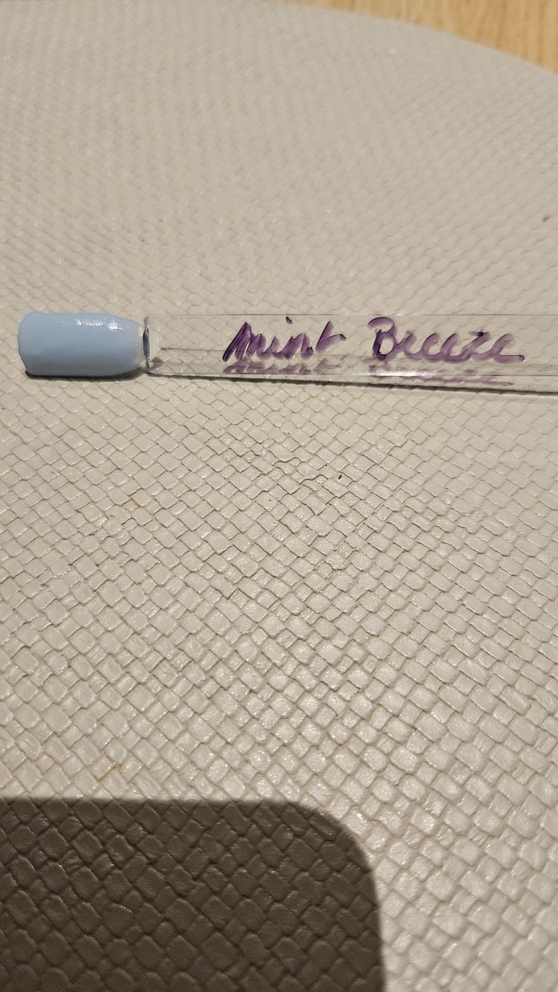 Customer photo review of Mint Breeze Dipping Powder