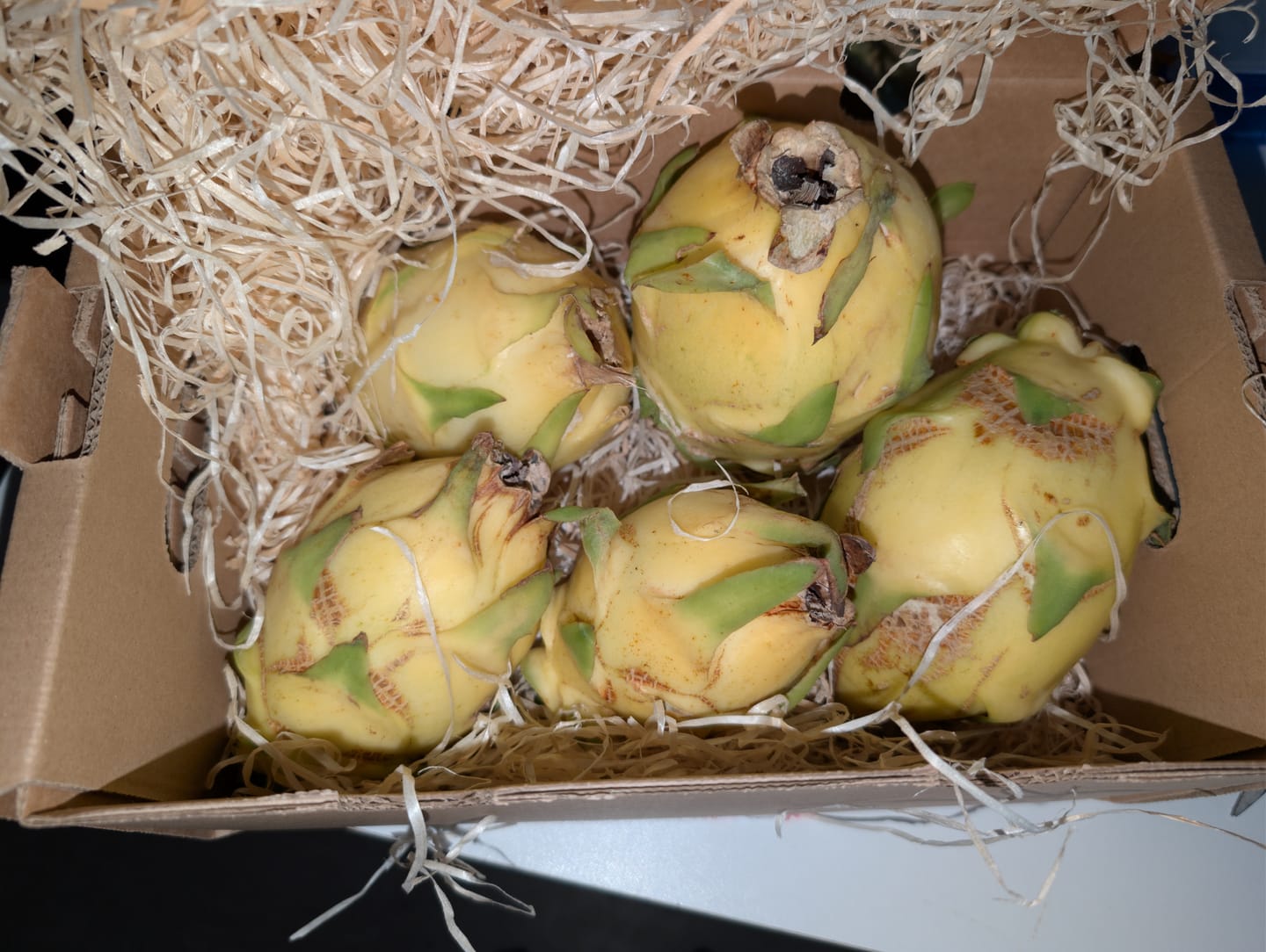 Customer photo review of Drachenfrucht gelb Bio von Salvador Retterbox
