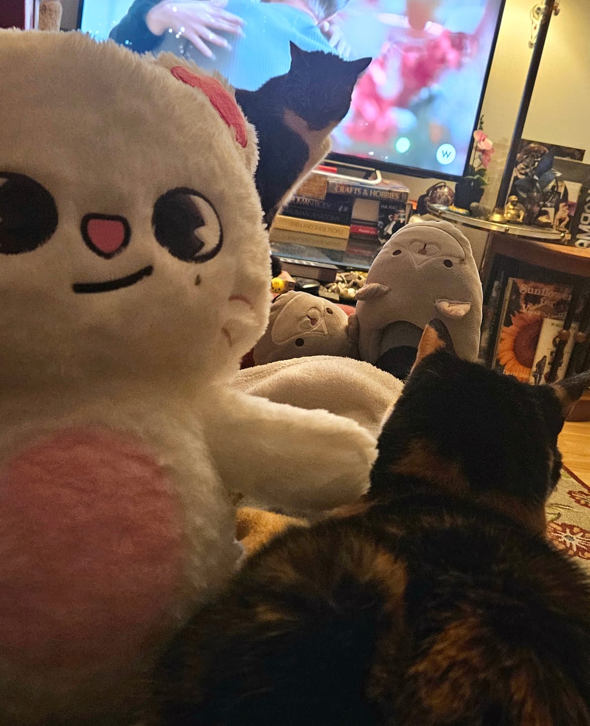Customer photo review of SKZ Teddybear Plush
