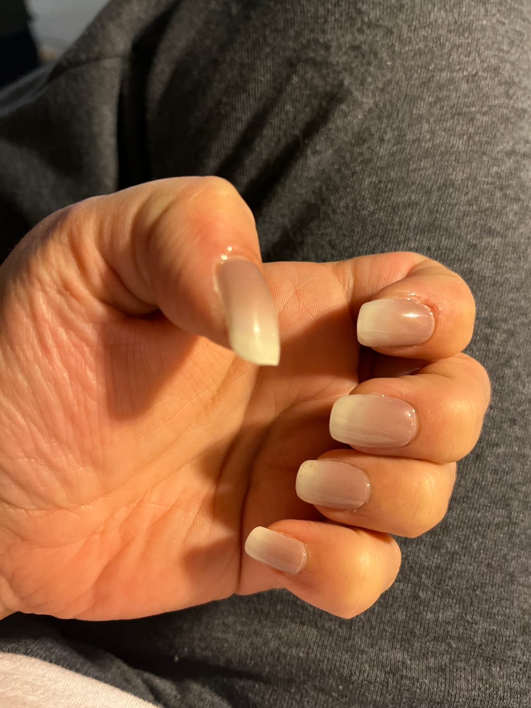 Customer photo review of COLOR 2