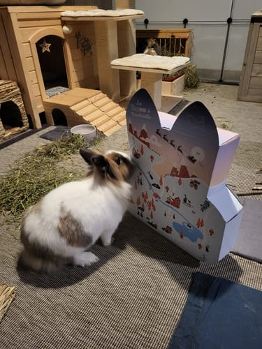Customer photo review of Calendrier de l’Avent - La Hopbox à CarotteVille