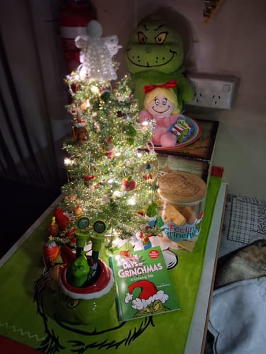 Customer photo review of Palm Pals - Dr Seuss Cindy Lou Who 13cm